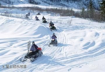 加拿大惠斯勒滑雪场-雪上娱乐项目照片