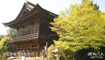 日本醍醐寺-如意輪堂照片