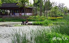 杭州西溪國家濕地公園旅遊攻略之秋蘆飛雪