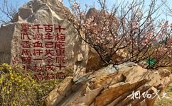 青岛梅园旅游攻略之摩崖石刻