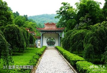 咸宁澄水洞风景区-盆景花卉观赏园照片