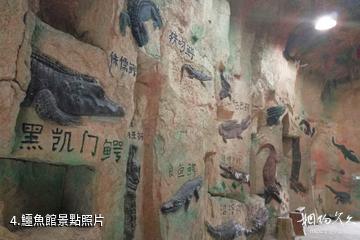 長興中國揚子鱷村-鱷魚館照片