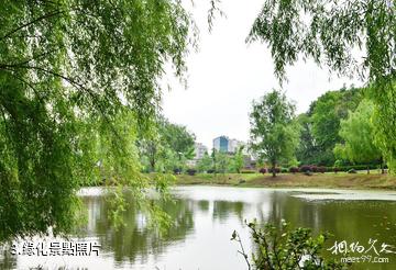 九江湖口台山公園-綠化照片