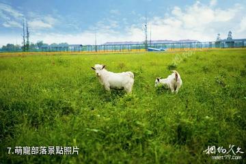 寧波達人村景區-萌寵部落照片