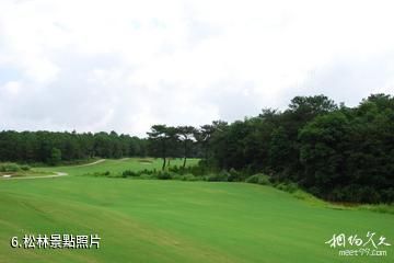 韶關銀山戶外運動養生景區-松林照片