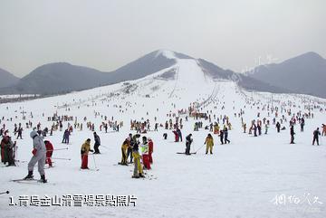 青島金山滑雪場照片