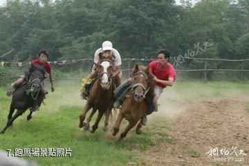 鄭州金鷺鴕鳥遊樂園-跑馬場照片