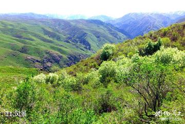 塔城裕民巴尔鲁克风景区-风景照片