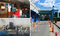北京太平洋汉海海底世界驴友相册