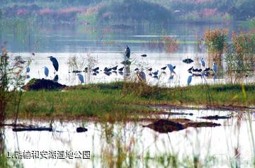 赣榆和安湖湿地公园照片