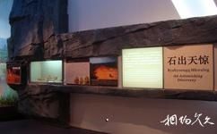 广西壮族自治区博物馆旅游攻略之远古神奇