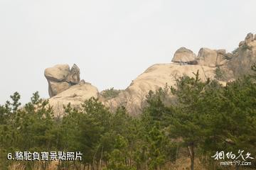 乳山岠嵎山風景區-駱駝負寶照片