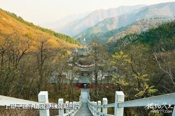 鄒平鶴伴山風景區照片