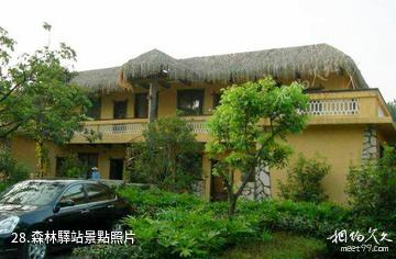 清遠森波拉度假森林景區-森林驛站照片