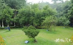 廣安鄧小平故里旅遊攻略之六棵樹