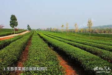 江西鳳凰溝風景區-生態茶業展示園照片