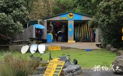 新西兰鸟岛旅游攻略之冲浪用品租赁中心