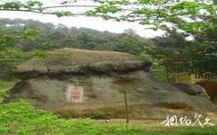 安慶大龍山旅遊攻略之蘑菇石