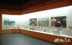 三门峡渑池仰韶文化博物馆旅游攻略之文物