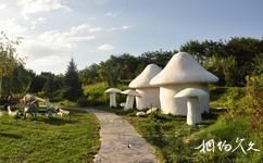 乌鲁木齐植物园旅游攻略之绿地石径
