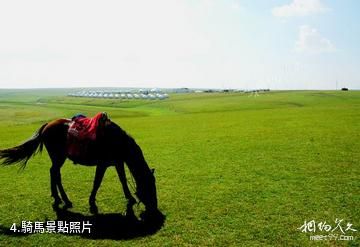 烏魯木齊苜蓿台生態公園-騎馬照片