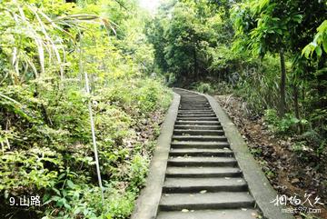 株洲仙庾岭风景区-山路照片