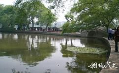 嘉興烏鎮古鎮旅遊攻略之元寶湖