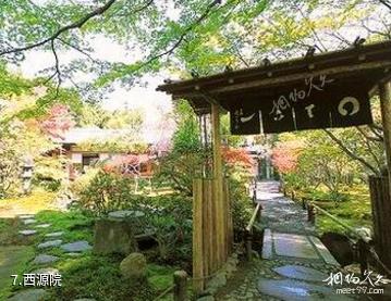 日本龙安寺-西源院照片