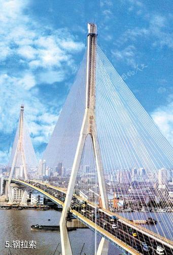 上海杨浦大桥-钢拉索照片