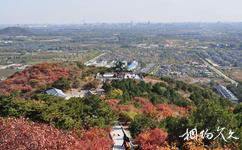 北京西山國家森林公園旅遊攻略之紅葉