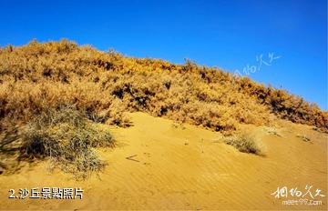 瑪納斯土炮營國家沙漠公園-沙丘照片