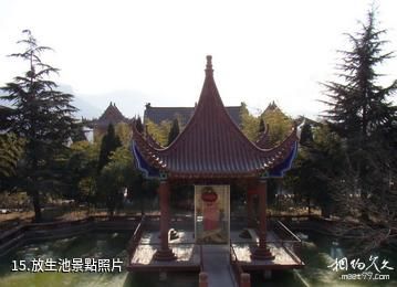 棗莊甘泉禪寺-放生池照片