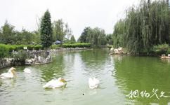 云南野生动物园旅游攻略之天鹅湖
