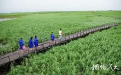 大慶璫奈濕地旅遊攻略之千米葦海長廊