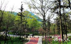 湖北峴山國家森林公園旅遊攻略之峴山