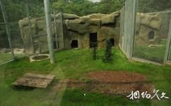 重慶動物園旅遊攻略之貂館
