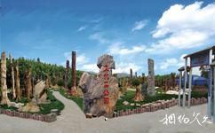 福清天生林艺园旅游攻略之木化石公园