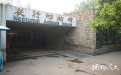 北京動物園旅遊攻略之夜行動物館