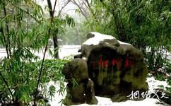 上海長風公園長風海洋世界旅遊攻略之松竹梅區