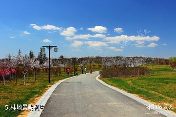 富平溫泉河濕地公園-林地照片