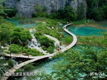 珠江源風景區-綠色迷宮照片