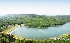 南京平山森林公園旅遊攻略