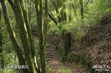 臨滄五老山國家森林公園-山林照片