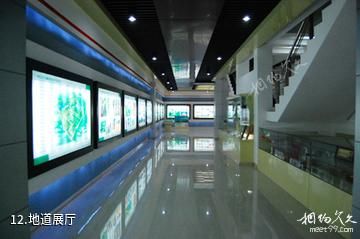 东营广饶刘集红色旅游区-地道展厅照片