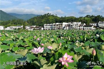 广昌中国莲花景区-中国莲花景区照片