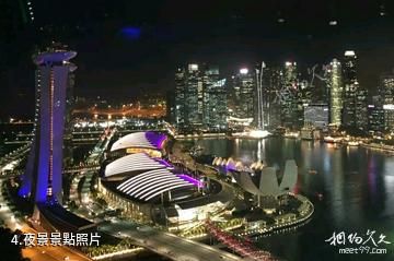 新加坡摩天輪-夜景照片