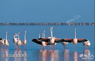 仁愛團泊湖國際休閑博覽園-團泊湖照片