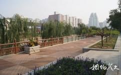 北京滨河公园旅游攻略之滨河公园