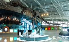 嘉荫恐龙国家地质公园旅游攻略之神州恐龙博物馆