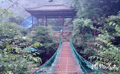 安吉浙北大峡谷旅游攻略之吊桥